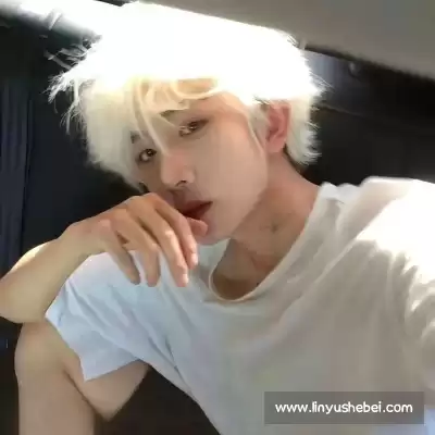 凤鲁庄